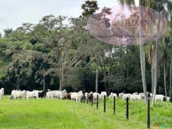 Imagem Terreno à Venda, 87 m² em Capela Do Alto - Capela Do Alto Imagem Terreno à Venda, 87 m² em Capela Do Alto - Capela Do Alto