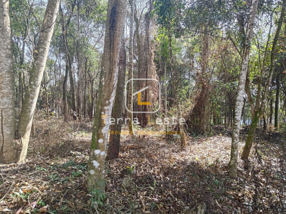 Imagem Terreno à Venda, 2.000 m² em Aranha - Brumadinho Imagem Terreno à Venda, 2.000 m² em Aranha - Brumadinho