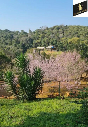 Imagem Imóvel com 4 Quartos à Venda, 46.000 m² em Freguesia Dos Laras - Campo Magro