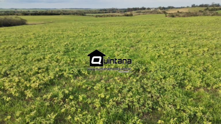 Imagem Imóvel à Venda, 200.000 m² em Fragata - Pelotas