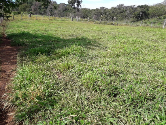Imagem Imóvel à Venda,  em Palmas - To - Palmas