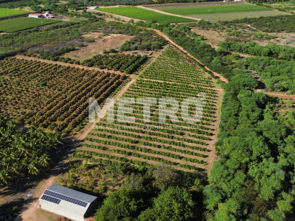 Imagem Fazenda à Venda, em área Rual - Petrolina Imagem Fazenda à Venda, em área Rual - Petrolina