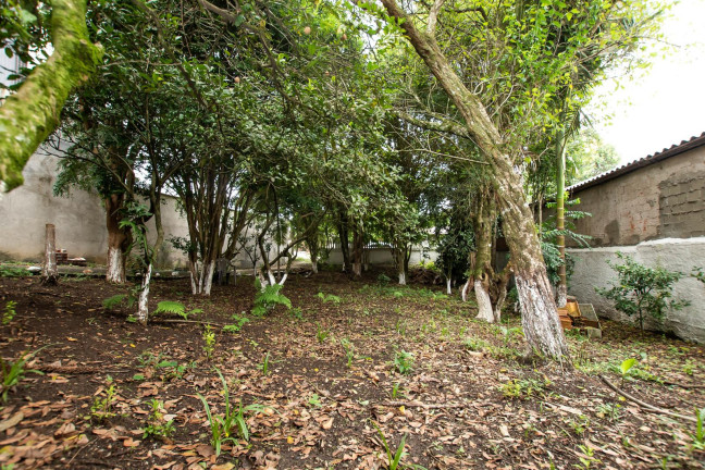 Imagem Terreno à Venda, 532 m² em Ecoville - Curitiba Imagem Terreno à Venda, 532 m² em Ecoville - Curitiba