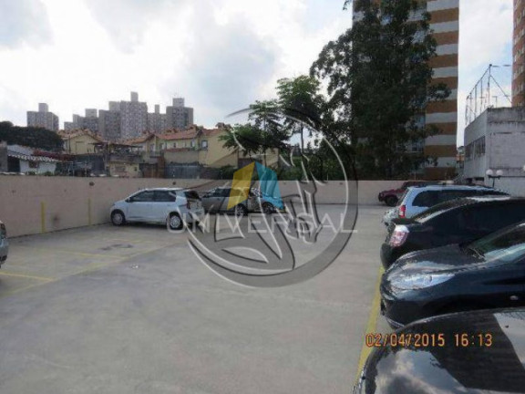 Imagem Apartamento com 3 Quartos à Venda, 62 m² em Vila Pierina - Sao Paulo