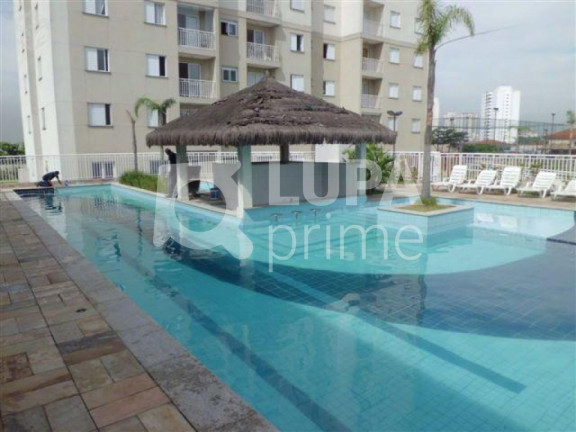 Imagem Apartamento com 2 Quartos à Venda, 52 m² em Vila Maria - São Paulo Imagem Apartamento com 2 Quartos à Venda, 52 m² em Vila Maria - São Paulo