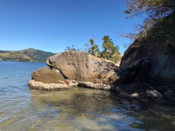 Imagem Casa com 5 Quartos à Venda, 287 m² em Pontal (cunhambebe) - Angra Dos Reis
