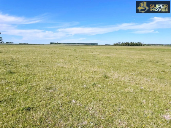 Imagem Imóvel com 3 Quartos à Venda, 25.000.000 m² em Prado - Santana Do Livramento