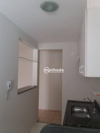 Imagem Apartamento com 3 Quartos à Venda, 66 m² em Jardim Nova Europa - Campinas Imagem Apartamento com 3 Quartos à Venda, 66 m² em Jardim Nova Europa - Campinas