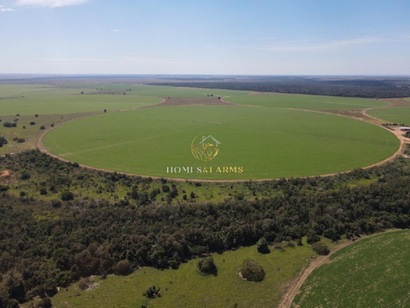Imagem Imóvel com 3 Quartos à Venda, 5.290 m² em Zona Rural - Britânia Imagem Imóvel com 3 Quartos à Venda, 5.290 m² em Zona Rural - Britânia