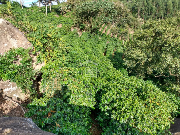 Imagem Imóvel à Venda, 1 m² em Souza Lima - Poços De Caldas