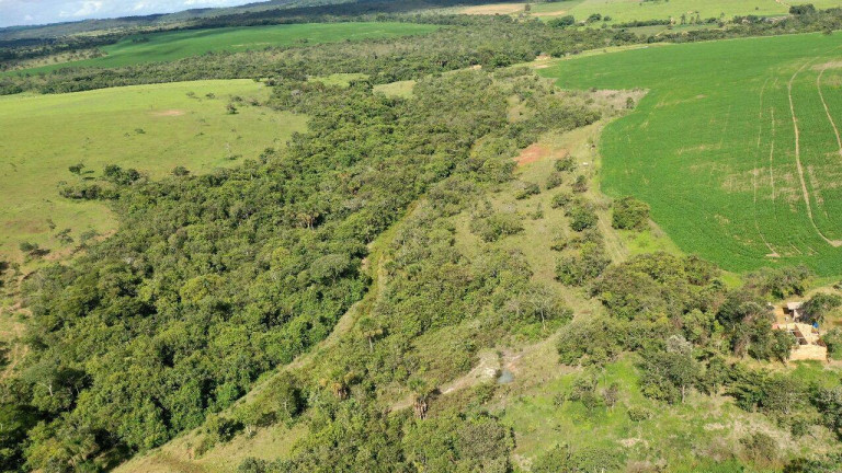 Imagem Fazenda à Venda, 390.000 m² em Santa Cruz De Goiás