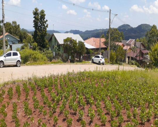 Imagem Imóvel à Venda, 970 m² em Centro - Linha Nova