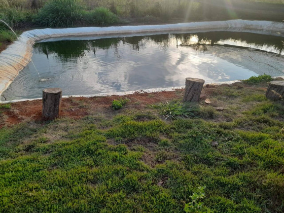 Imagem Chácara com 4 Quartos à Venda, 150 m² em área Rural De Anápolis - Anápolis