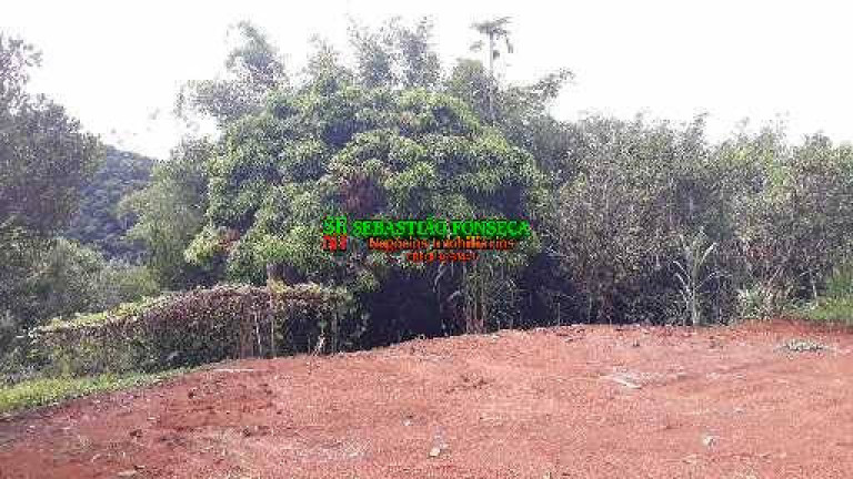 Imagem Chácara à Venda, 40.000 m² em São Francisco Xavier - São José Dos Campos Imagem Chácara à Venda, 40.000 m² em São Francisco Xavier - São José Dos Campos