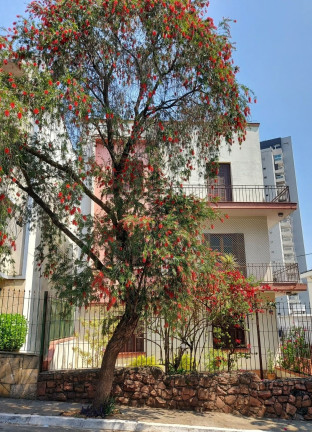 Imagem Imóvel com 2 Quartos à Venda, 68 m² em Vila Mariana - São Paulo