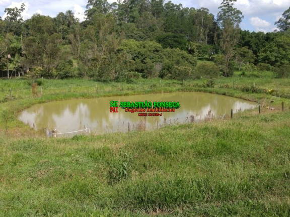 Imagem Chácara com 1 Quarto à Venda, 42.000 m² em Centro - Caçapava