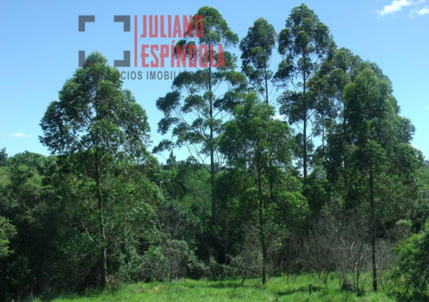 Imagem Imóvel com 2 Quartos à Venda, 28.600 m² em Passo Da Areia - Viamão