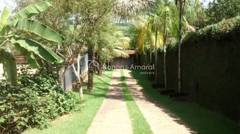 Imagem Chácara com 3 Quartos à Venda, 1.000 m² em Recanto Dos Dourados - Campinas Imagem Chácara com 3 Quartos à Venda, 1.000 m² em Recanto Dos Dourados - Campinas
