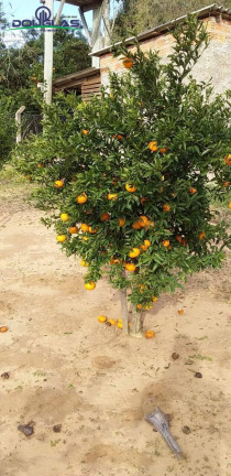 Terreno à Venda, 600 m² em Viamão