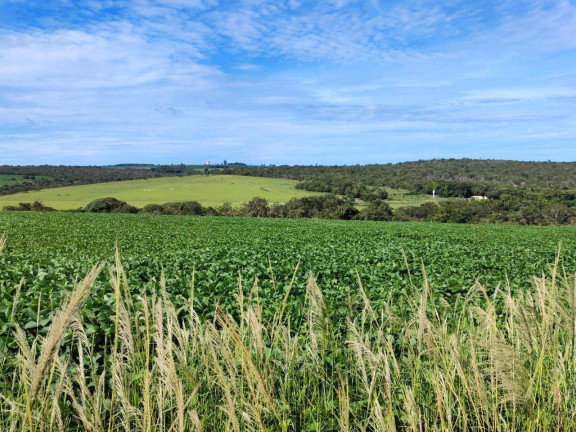 Imagem Fazenda à Venda, 390.000 m² em Santa Cruz De Goiás