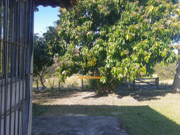 Imagem Imóvel com 4 Quartos para Alugar,  em Bairro Gramado - Porto Feliz