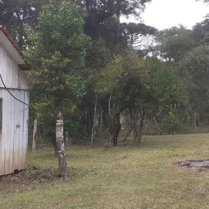 Imagem Imóvel com 3 Quartos à Venda,  em Antonio Olinto - Antônio Olinto