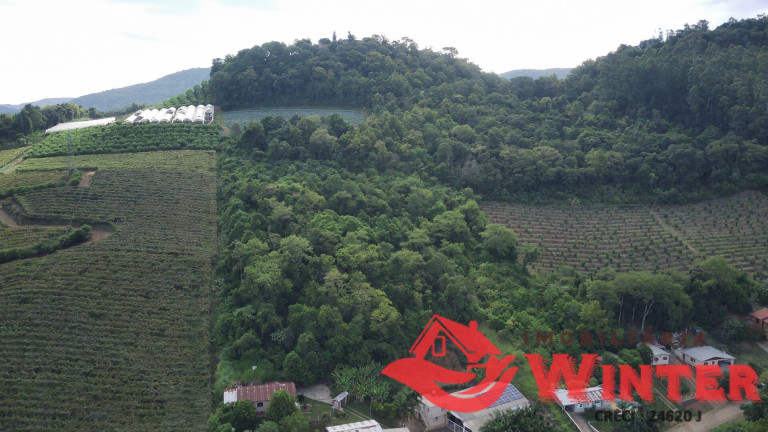 Imagem Chácara à Venda, 16 m² em Picão - Feliz Imagem Chácara à Venda, 16 m² em Picão - Feliz