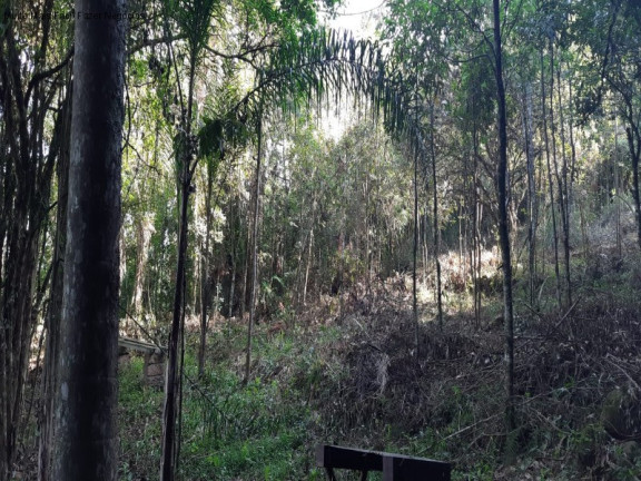 Imagem Terreno à Venda, em Lageana - Gramado Imagem Terreno à Venda, em Lageana - Gramado