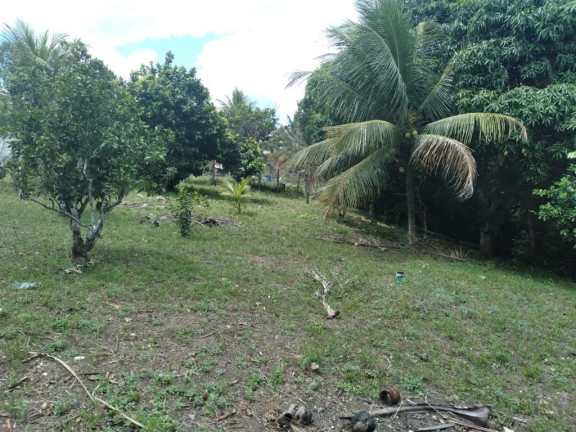 Imagem Terreno à Venda, 3.000 m² em Rural - Paudalho Imagem Terreno à Venda, 3.000 m² em Rural - Paudalho