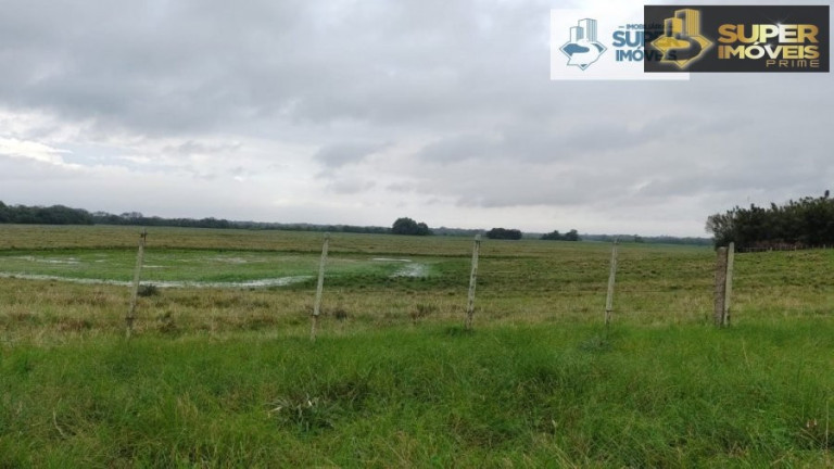 Imagem Imóvel com 1 Quarto à Venda, 4.090.000 m² em Centro - Cristal