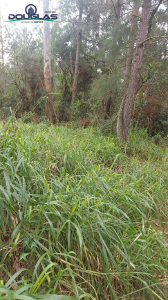 Imagem Terreno à Venda, em águas Claras - Viamão Imagem Terreno à Venda, em águas Claras - Viamão