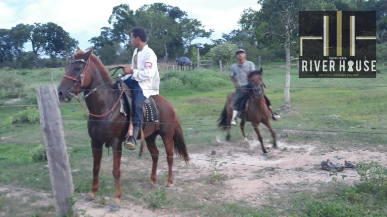 Imagem Chácara com 2 Quartos à Venda, 2.500 m² em Pedra 90 - Cuiabá Imagem Chácara com 2 Quartos à Venda, 2.500 m² em Pedra 90 - Cuiabá
