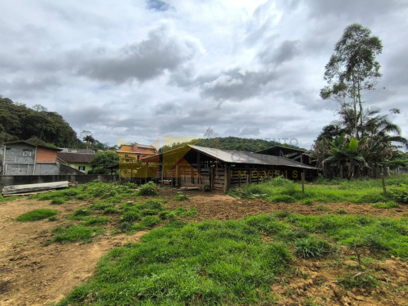 Imagem Imóvel à Venda, 4.700 m² em Itoupavazinha - Blumenau