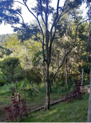 Imagem Chácara com 7 Quartos à Venda, 1.440 m² em Santo Antônio Do Pinhal