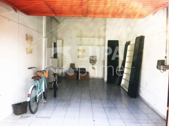Imagem Casa com 4 Quartos para Alugar, 600 m² em Vila Isolina Mazzei - São Paulo Imagem Casa com 4 Quartos para Alugar, 600 m² em Vila Isolina Mazzei - São Paulo