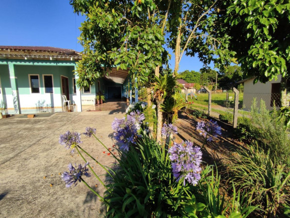 Imagem Casa com 3 Quartos à Venda, 293 m² em Trigolândia - Piên