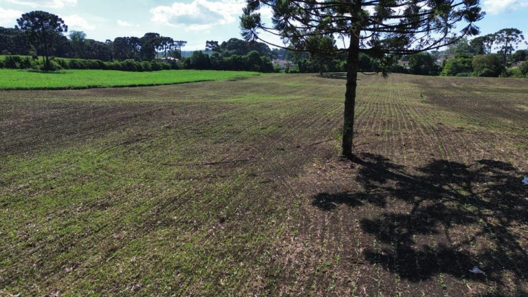 Imagem Fazenda à Venda, 19.400 m² em Tranqueira - Almirante Tamandare Imagem Fazenda à Venda, 19.400 m² em Tranqueira - Almirante Tamandare