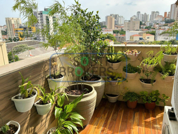 Imagem Apartamento com 3 Quartos à Venda,  em Jardim São Paulo(zona Norte) - São Paulo