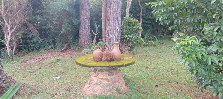 Imagem Casa com 3 Quartos à Venda, 2.500 m² em São Roque