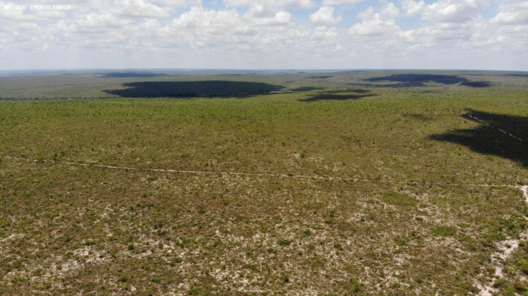 Imagem Fazenda à Venda, 14.000 m² em Rural - Cocos