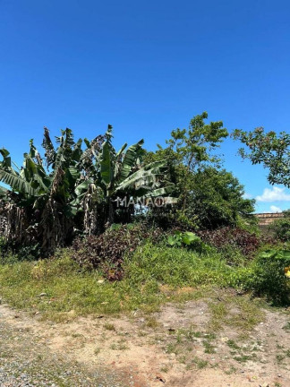 Imagem Terreno à Venda, 300 m² em Itajubá - Barra Velha Imagem Terreno à Venda, 300 m² em Itajubá - Barra Velha