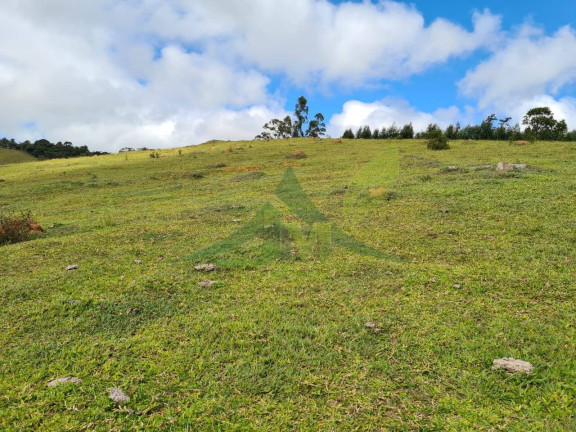 Imagem Chácara com 2 Quartos à Venda, 4.840.000 m² em Piracaia - Piracaia Imagem Chácara com 2 Quartos à Venda, 4.840.000 m² em Piracaia - Piracaia