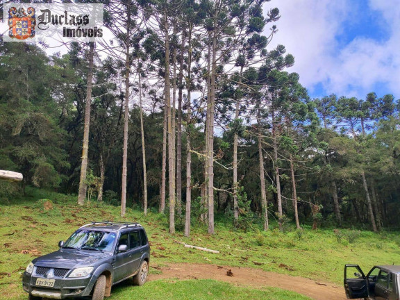 Imagem Chácara à Venda, 60.500 m² em Bom Jardim - Camanducaia Imagem Chácara à Venda, 60.500 m² em Bom Jardim - Camanducaia
