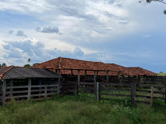 Imagem Fazenda à Venda, 532 m² em Rural - Jales Imagem Fazenda à Venda, 532 m² em Rural - Jales