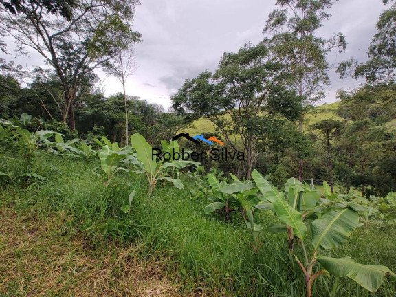Imagem Chácara com 3 Quartos à Venda, 400 m² em Pedra Grande - Taubaté Imagem Chácara com 3 Quartos à Venda, 400 m² em Pedra Grande - Taubaté