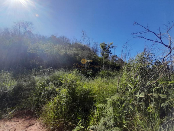 Imagem Terreno à Venda, 1.000 m² em Prata - Teresópolis Imagem Terreno à Venda, 1.000 m² em Prata - Teresópolis