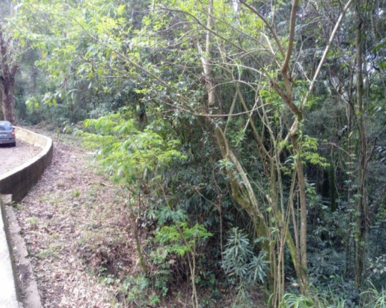 Imagem Imóvel à Venda, 78.835 m² em Br116 - Nova Petrópolis