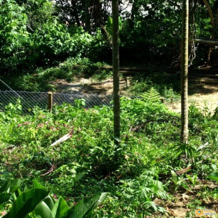 Imagem Terreno à Venda, 1.560 m² em Enseada - Ubatuba