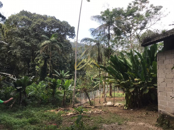 Imagem Terreno à Venda, 32 m² em Horto Florestal - Ubatuba