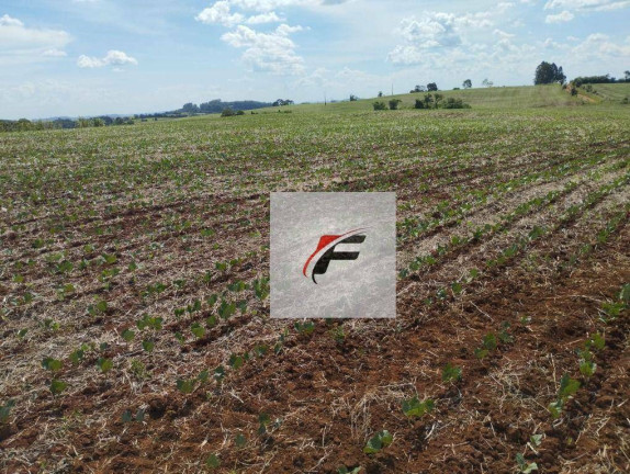Fazenda à Venda, 813.120 m² em Guampará - Marquinho